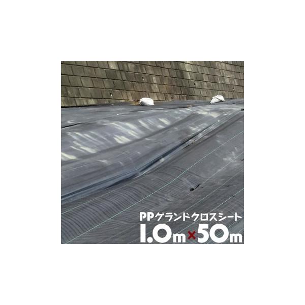 hV[g PPOhNXV[g 1m×50m