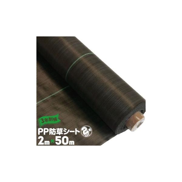 hV[gyό󐫖3Nz2m×50m 2{ Gh~ Z ԏ ƒ؉ʘH G}