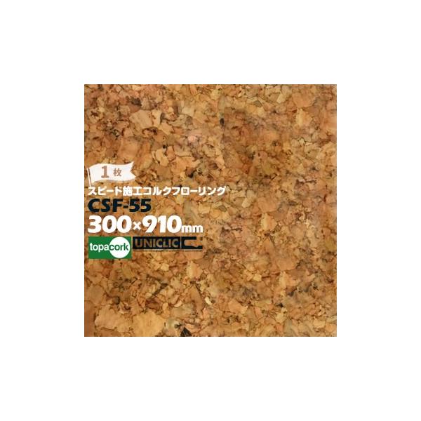 RN Xs[h{HRNt[O CSF-55 i` 1 RN  ̂sv sv {HȒP