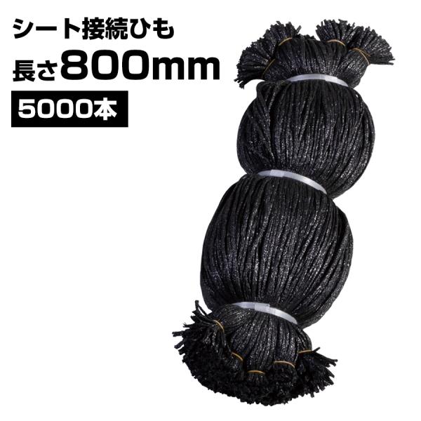 シート接続ひも 黒 800mm 5000本 KMネクスト 防炎シートひも 紐 141310100