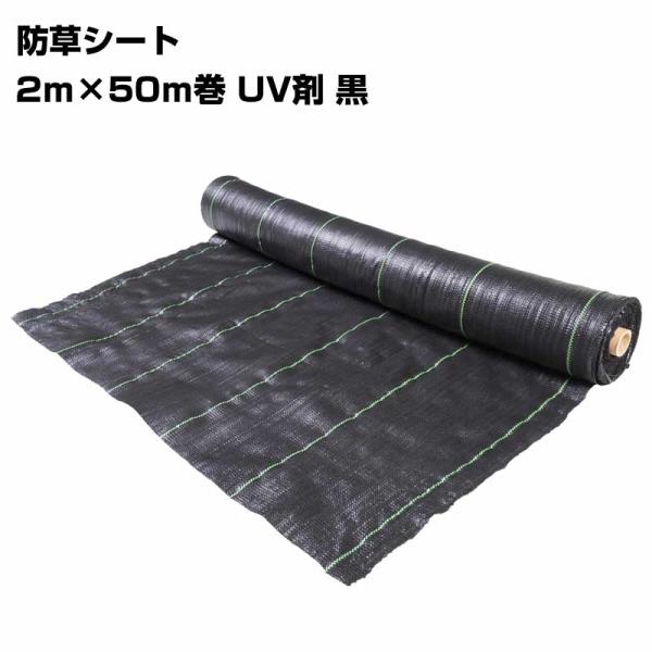 防草シート　2m×50m黒　(固定ピン黒丸50本付き) 防草シート 2m×50m巻 UV剤 黒 雑草防止 草よけ 除草シート 高遮光
