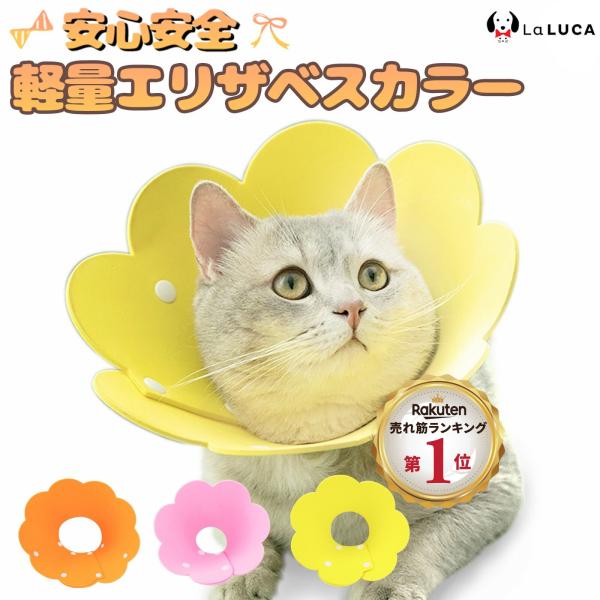 エリザベスカラー 猫 みんな探してる人気モノ エリザベスカラー 猫