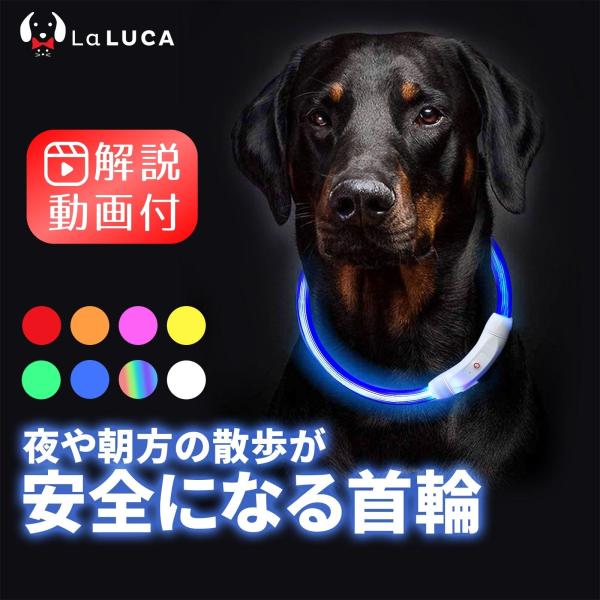 首輪 犬 おしゃれ 光る首輪 LED ライト LaLUCA USB充電式 小型犬 中型犬 大型犬 LaLUCA GOODS 夜 散歩 安全 サイズ調整