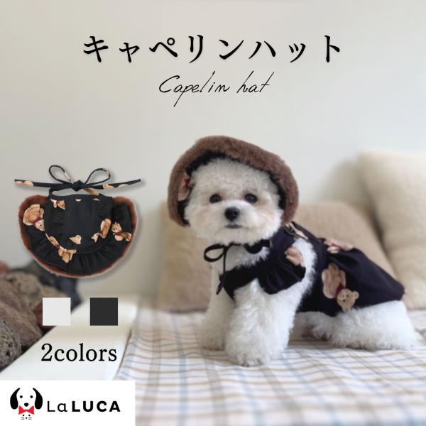犬 帽子 キャペリン ハット コットン くま くま柄 クマ 熊 服 ペット 犬服 パピー 超小型犬 小型犬 かわいい おしゃれ ドッグウエア