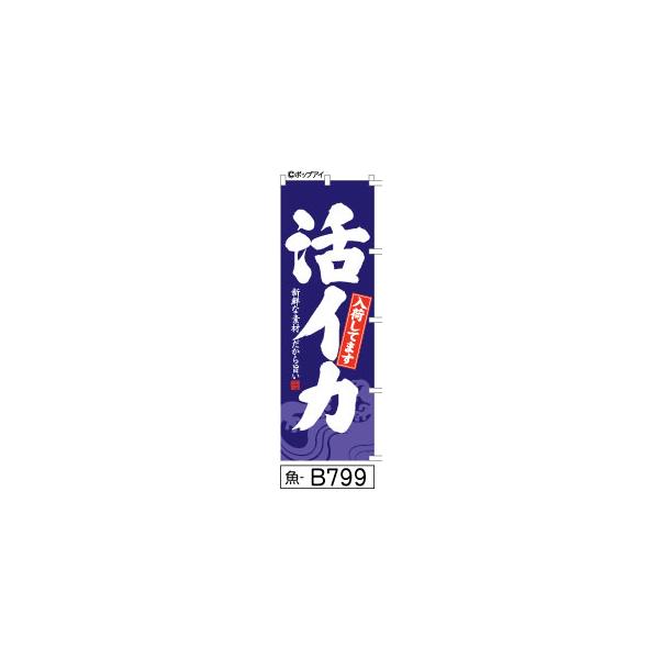 ふでのぼり 活イカ入荷してます(魚-B799)幟 ノボリ 旗 筆書体を使用した一味違ったのぼり旗がお買得(送料込み)まとめ買いで格安