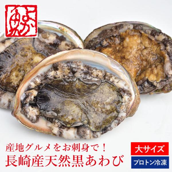 プロトン冷凍 長崎産天然黒あわび 特大200g以上 1枚 黒アワビ プロトン冷凍 長崎産天然黒あわび 特大200g以上 1枚 黒アワビ