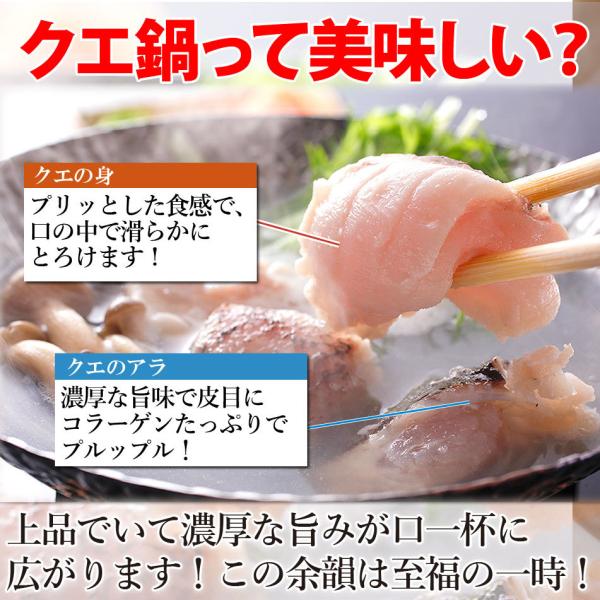 鍋の王様天然クエ鍋 お刺身セット 送料無料 クエだしの素又はクエスープが選べる 最高級品くえ使用 よか魚丸得 Buyee Buyee Japanese Proxy Service Buy From Japan Bot Online