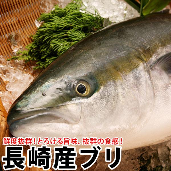 ギフト ブリ 半天然 4 5kg前後1本 長崎産のたっぷり脂ののった旬の極上ブリ 極上ぶり 九十九島鮮魚 Syun306 よか魚 Com 通販 Yahoo ショッピング