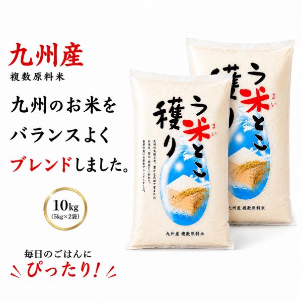 送料無料】お米 10kg 九州産複数原料米 5kg×2袋 家計応援米 ブレンド米