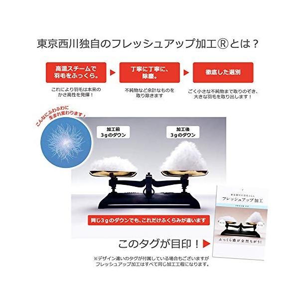 大感謝セール 日本製 ウクライナシルバーグースダウン90 グリーン 布団 ヨコブンオンラインの東京西川 東京西川 Nzn ヨコブンオンライン Kaa2 羽毛布団 Kaa2 Nznならショッピング ランキングや 口コミも豊富なネット通販 更にお得な