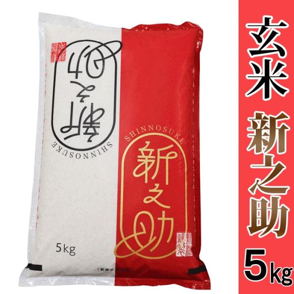 玄米【異物除去調整済み玄米】 新潟県産 新之助 5kg 令和7年産 産地直送米 一等米 新潟 コシヒカリ 爆買