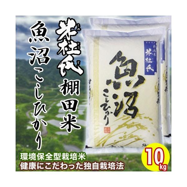 V   Y Ic Ђ 10kg (5kg×2) ߘa7NY ēmuh  Pꌴ  RVqJ  V