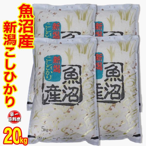 コシヒカリ 新米 お米 魚沼産コシヒカリ 20kg(5kg×4) 令和7年度