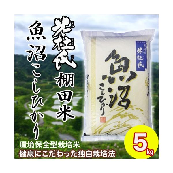 V   Y Ic Ђ 5kg ēmuh  ߘa7NY Pꌴ  RVqJ  VY 