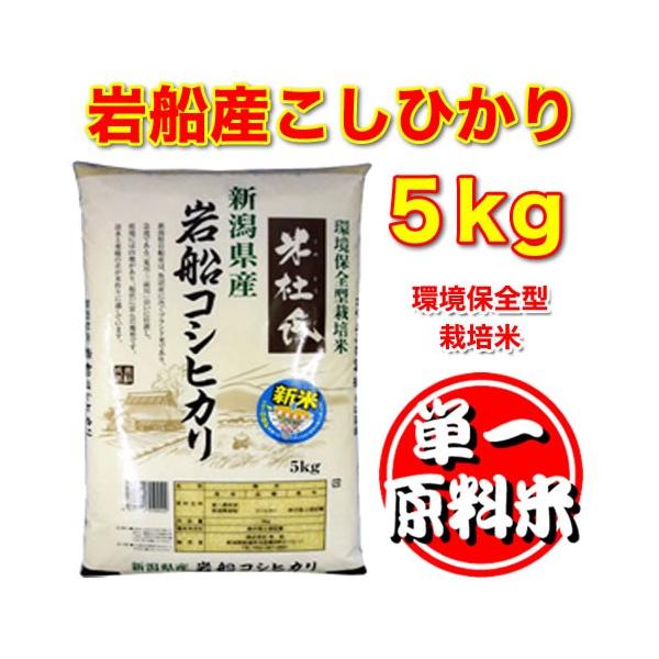 新潟三大コシヒカリ 岩船産 こしひかり 5kg 令和7年産 送料無料  米杜氏 お米 精米 白米 新潟県産 コシヒカリ 新潟県産こしひかり 爆買