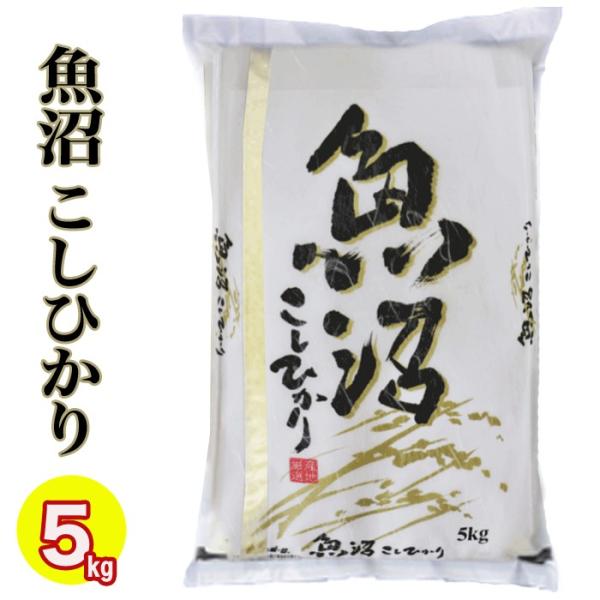 令和６年産こしひかり★コシヒカリ5Kg✖︎2 10Kg★送料無料★コンテスト受賞米 コシヒカリ 米 令和6年 こしひかり 新潟産コシヒカリ 5kg 送料