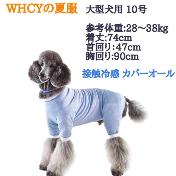 大型犬 夏服 術後着 保護着 Tピース 10号 Buyee Buyee Japanese Proxy Service Buy From Japan Bot Online