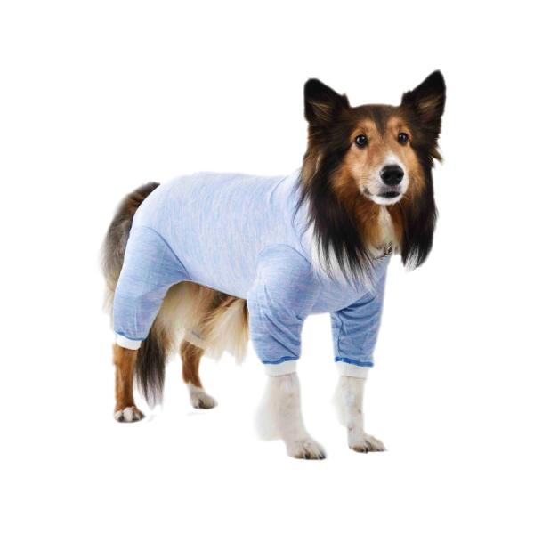 大型犬 夏服 術後着 保護着 Tピース 10号 Buyee Buyee Japanese Proxy Service Buy From Japan Bot Online