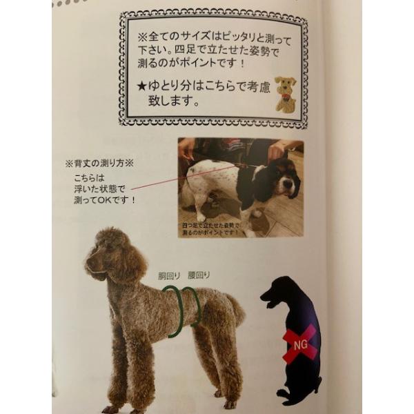 大型犬 夏服 術後着 保護着 Tピース 10号 Buyee Buyee Japanese Proxy Service Buy From Japan Bot Online