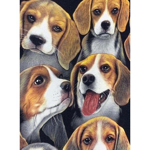 送料無料 ずらりビーグルだらけ ３８匹ワンちゃん 両面全面プリントｔシャツ 男女兼用 おもしろ犬 インパクト大 Buyee Buyee 일본 통신 판매 상품 옥션의 대리 입찰 대리 구매 서비스