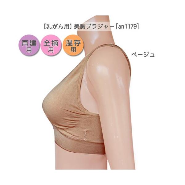 乳がん用 美胸 ブラジャー パット付き an1179 シームレス 乳癌用 パッド 乳ガン用 下着 入院 術後 ハーフトップ 再建 全摘 【】 乳がん用 美胸 ブラジャー パット付き an1179 シームレス 乳癌用 パッド 乳ガン用 下着 入院 術後 ハーフトップ 再建 全摘 【】