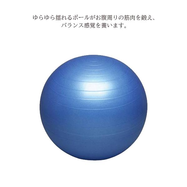 野球 筋 トレ 自宅 その他の野球用品の人気商品 通販 価格比較 価格 Com