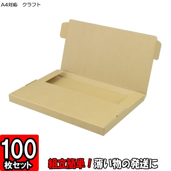 箱 ダンボール 段ボール 薄型 発送箱 梱包材 梱包資材 発送用 宅配用