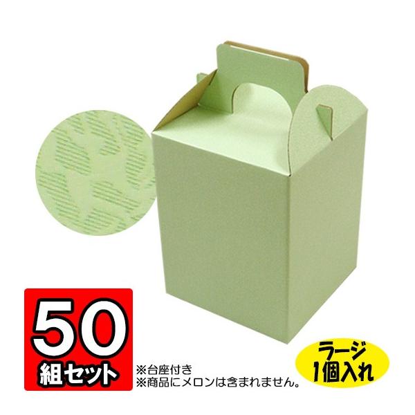 メロンBOX 10セット】2ケ入・メロンBOX 飛翔メロン フルーツ 果物 贈答