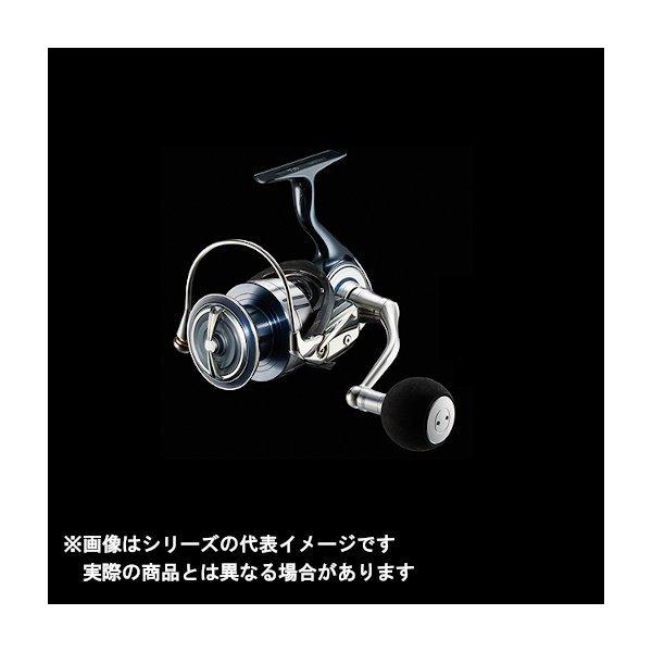 DAIWA（釣り） ダイワ 21 セルテート SW 5000-H : つり具の