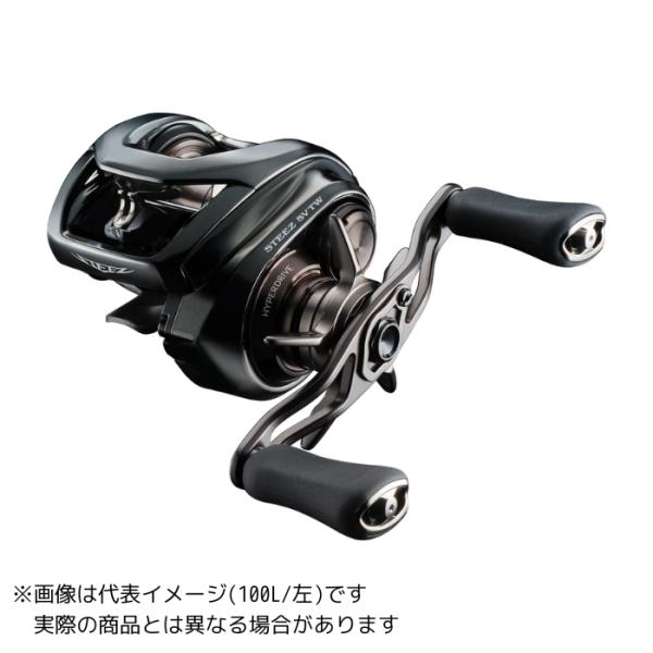 他サイト： ダイワ 24 スティーズ SV TW 100XHLの商品画像