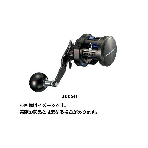 DAIWA（ダイワ） 17 SALTIGA(ソルティガ) BJ 200HL(左) : つり具の