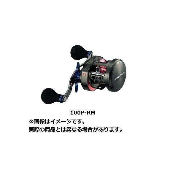 DAIWA（ダイワ） 17 SALTIGA(ソルティガ) BJ 100P-RM(右) : つり具の