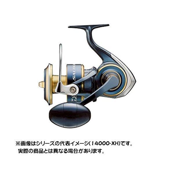 DAIWA（釣り） ダイワ 20 ソルティガ 8000-H : つり具のヨコオ