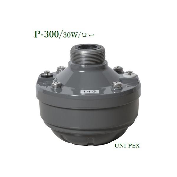 jybNX@P-300hCo[jbg/30W/[/s