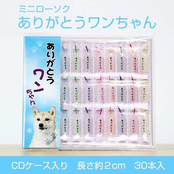 ~j[\N 肪Ƃ 30{ CDP[X ybg{ 茳{ ybgd Q { ~ ފ