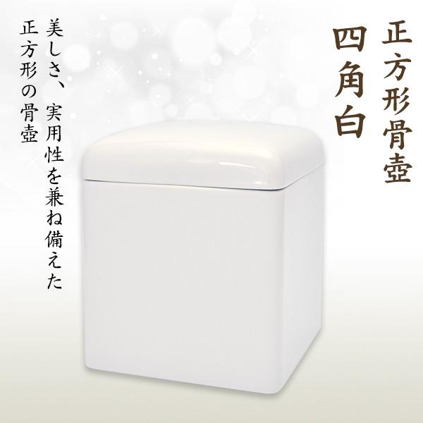   lp  茳{ d I ~ ފ y\ȍz