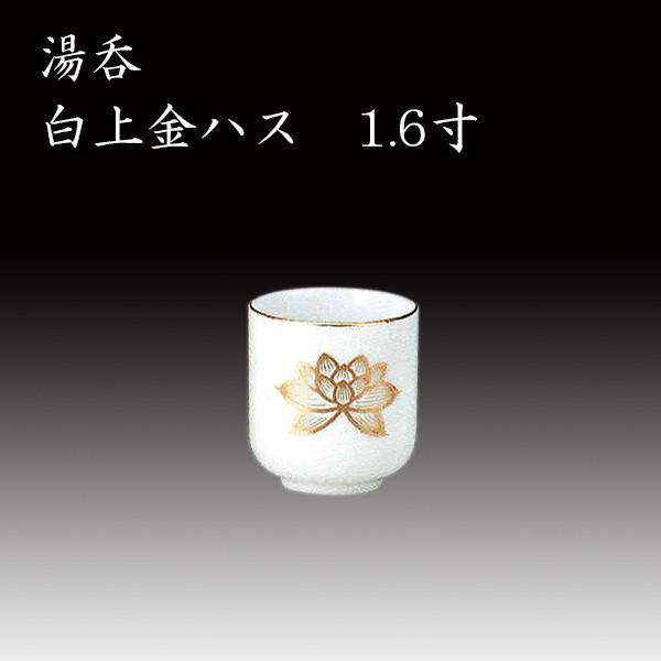   nX 1.6  Y d ~ ފ