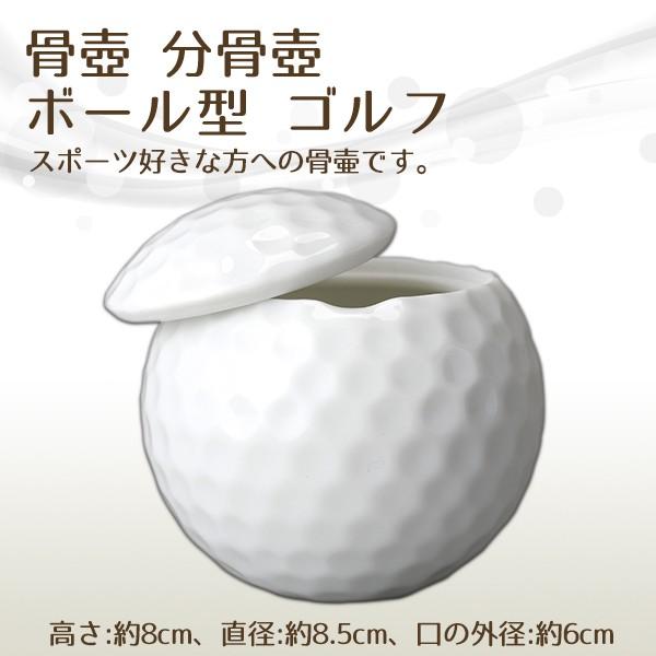     {[^ St  茳{ d I ~ ފ