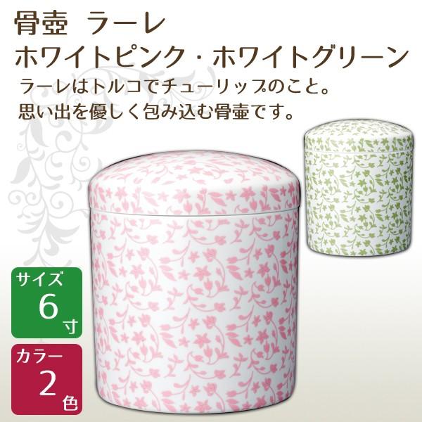   [ zCgsNEzCgO[ 6  茳{ d I ~ ފ