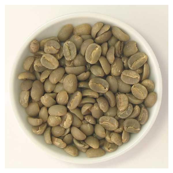 u[}EeNo.P@500@@ACXR[q[/hbv/R[q[/R[q[/tB^[/M[R[q[/