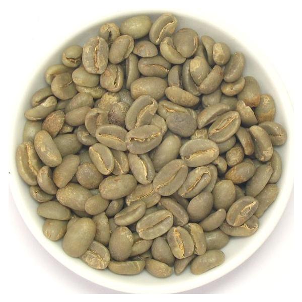 pvAj[MjAgsJ}Ee@ 200@@ACXR[q[/hbv/R[q[/R[q[/tB^[/M[R[q[/