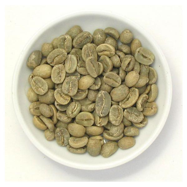 oArJ_R@ 500@@ACXR[q[/hbv/R[q[/R[q[/tB^[/M[R[q[/