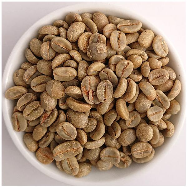 GToh VxA_ bhu{ i` 500@@hbv/R[q[/R[q[/M[R[q[/