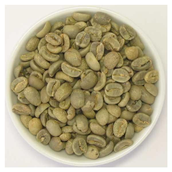 RX^J ALAX 500@@ACXR[q[/hbv/R[q[/R[q[/tB^[/M[R[q[/