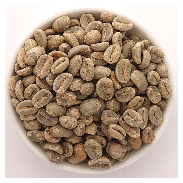 {rA xWrX^_ eBsJ  500   ACXR[q[/hbv/R[q[/R[q[/tB^[/M[R[q[/