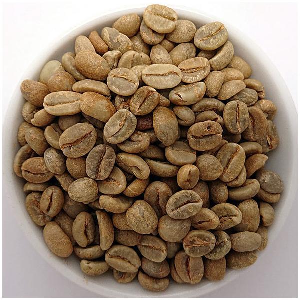 RS xCr[`[^[ i` 500@@ACXR[q[/hbv/R[q[/R[q[/tB^[/M[R[q[/