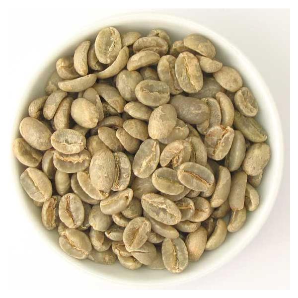 J[@Jv~Wo@500g@@ACXR[q[/hbv/R[q[/R[q[/tB^[/M[R[q[/