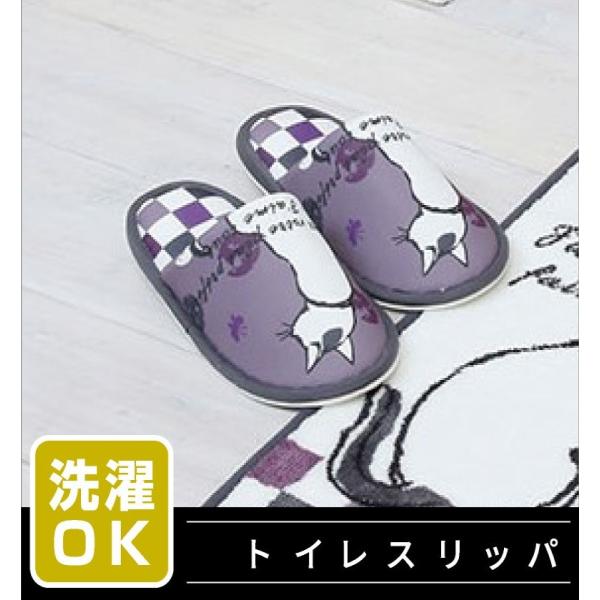 gCXbp Pi 1 / ~lbg L L  p[v  