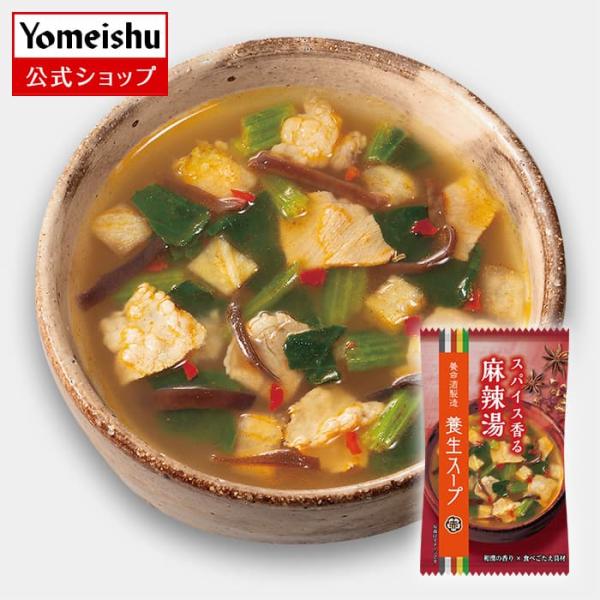 養生スープ 赤 麻辣湯（10食）