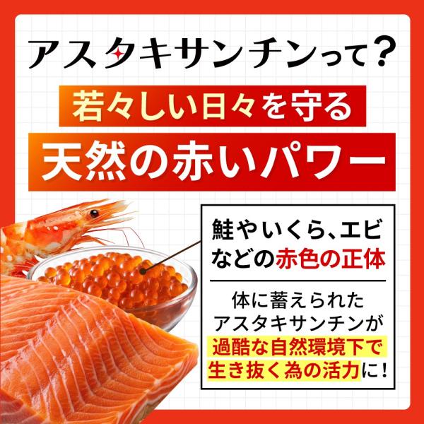 yonekichi_astax0001_3_d_20250905155109